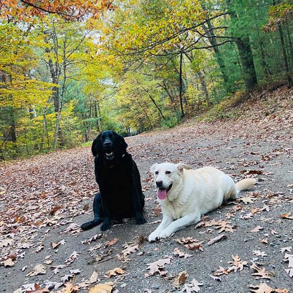 Meet your Posher, Sue - Picture 1 of 1